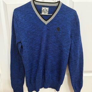 Express Blue V-Neck Sweater
